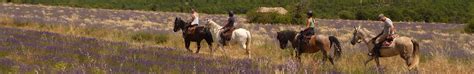 Randonnées à Cheval