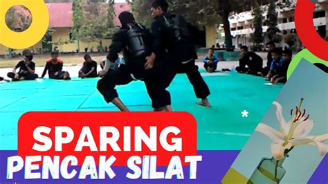 SPARING PENCAK SILAT DEWASA YouTube