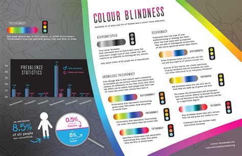 Colour Blindness Infographic Behance