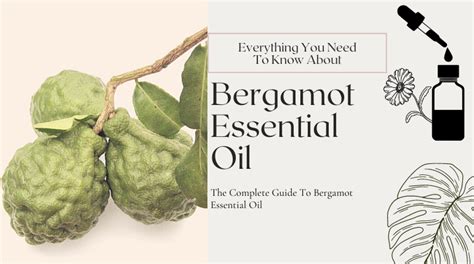 18 Health Benefits Of Bergamot Essential Oil ⚗️