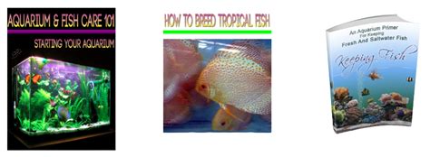 The Definitive Guide to Breeding, Keeping, and Caring for Tropical Fish ...