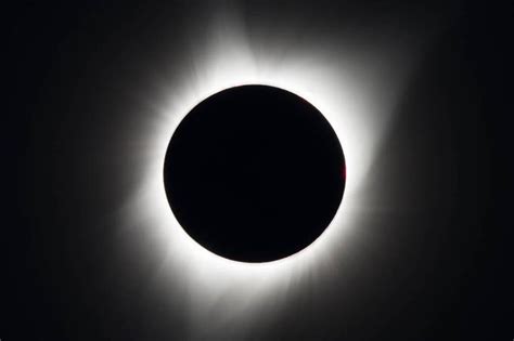 Notícias sobre Estrela | VEJA