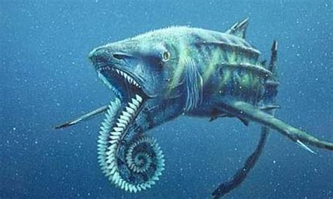 Helicoprion, the Buzz Saw Jawed Shark : r/Naturewasmetal