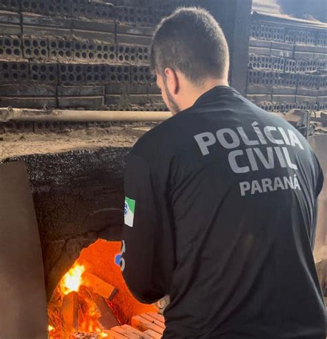 Polícia Civil incinera 208 quilos de maconha em Salto do Lontra CGN