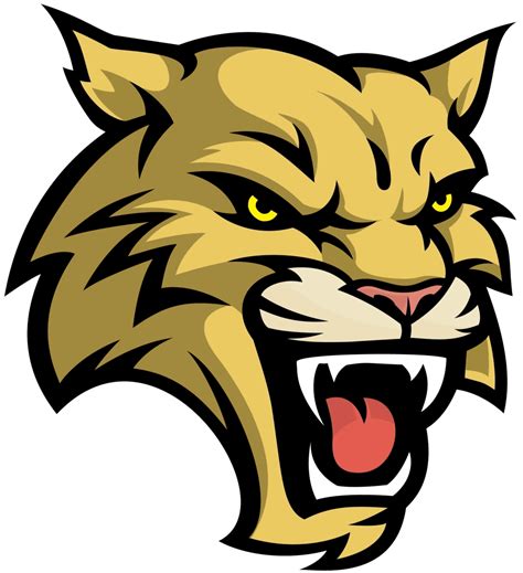 Vusd Schools Directory And Sarc Reports Vacaville Unified School District