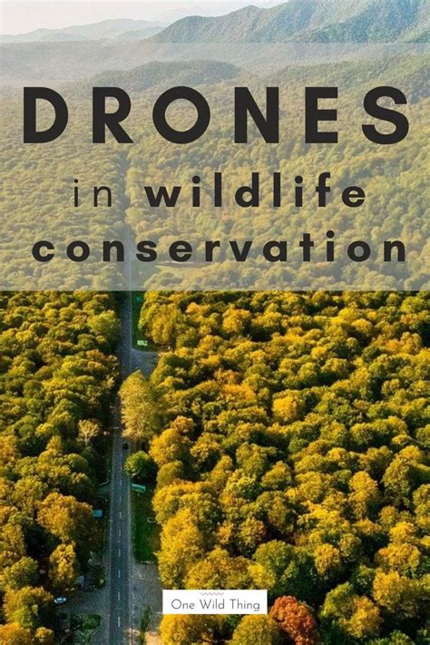 An Aerial View Of Trees And Mountains With The Words Drones In Wildlife