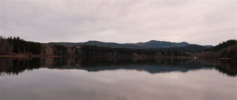 Shedding Daylight On Padden Creek — The Planet Magazine