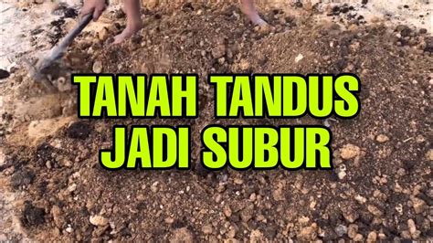 Cara Mengolah Tanah Supaya Subur Youtube