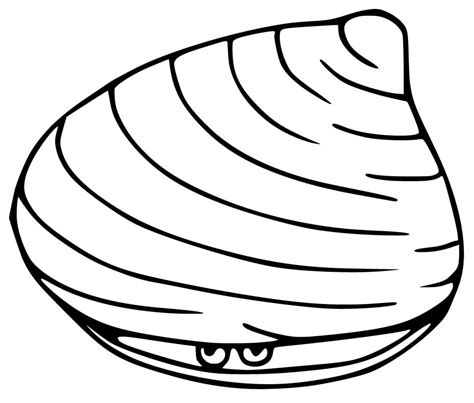 Printable Clam Coloring Pages Coloring Cool