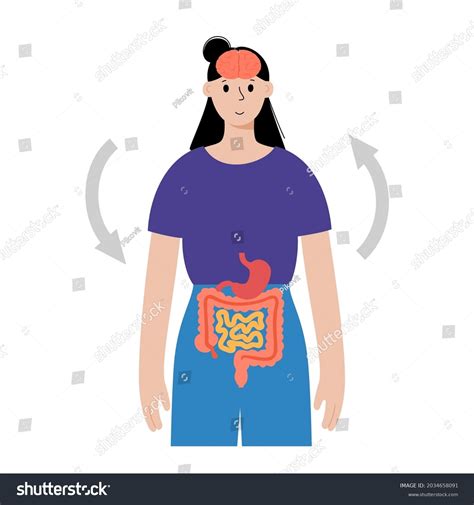 1,863 Gut diagram Stock Vectors, Images & Vector Art | Shutterstock