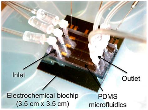 Chemosensors Free Full Text Microfluidic Devices For Label Free Dna