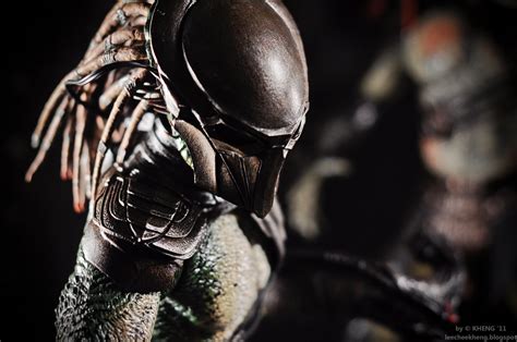 MY HOT TOYS COLLECTION PHOTOGRAPHY Hot Toys Falconer Predator