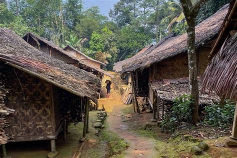 Sejarah Suku Baduy Asal Mula Ciri Rumah Hingga Perbedaan