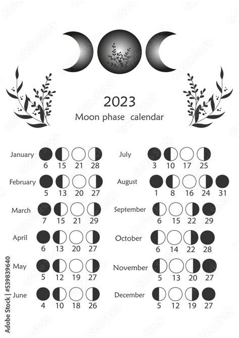 Vecteur Stock Lunar Phase Chart And Cycles Lunar Calendar For 2023