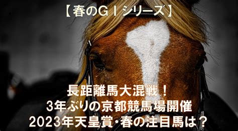 長距離馬大混戦！3年ぶりの京都競馬場開催 2023年天皇賞・春の注目馬は？ マネー探検隊が行く！ 投資から節約、生活の知恵まで幅広く