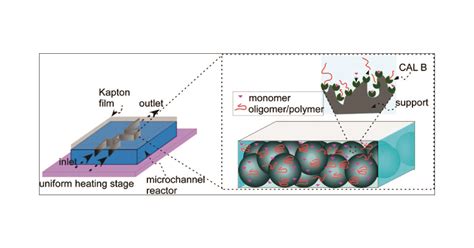 Continuous Flow Enzyme Catalyzed Polymerization In A Microreactor