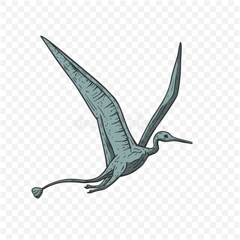 Pteranodon Vector Silhouette Illustration Isolated On White