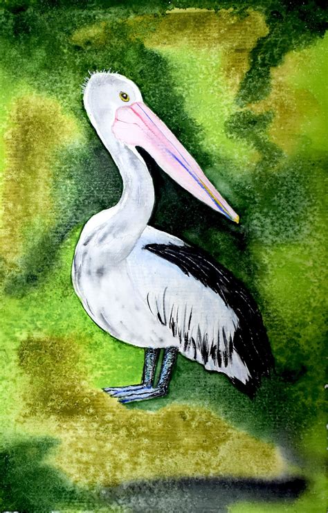 Pelican Painting Watercolor Bird Artwork Pelican Art Wild Bird Etsy