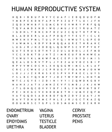 Human Reproductive System Word Search Wordmint