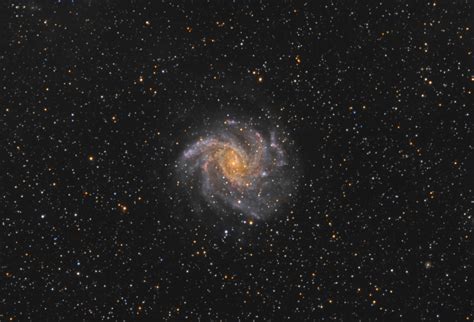 NGC 6946 - Fireworks Galaxy