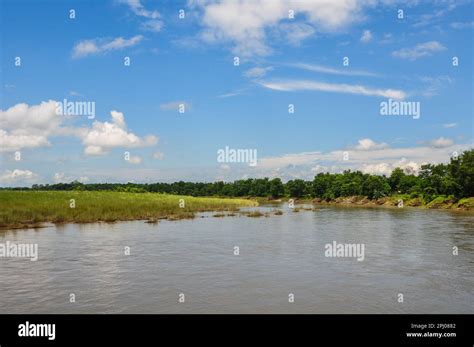 Chitwan National Park Stock Photo Alamy