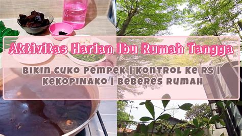 Aktivitas Ibu Rumah Tangga Bikin Cuko Pempek Ke Rs Dan Beberes Rumah