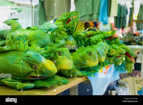 Iguana Toy Hi Res Stock Photography And Images Alamy