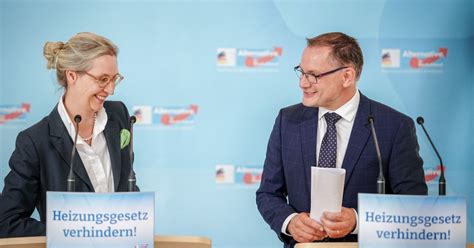 Partidul German De Extrem Dreapta Afd Urc Din Nou N Sondaje I A