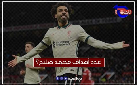 كم عدد أهداف محمد صلاح في مسيرته الكروية؟ الفرعون يتخطى حاجز الـ 315