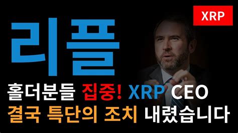 리플 전망 리플 Ceo 갈링하우스 결국 특단의 조치 내렸습니다 홀더분들 필수시청 Youtube