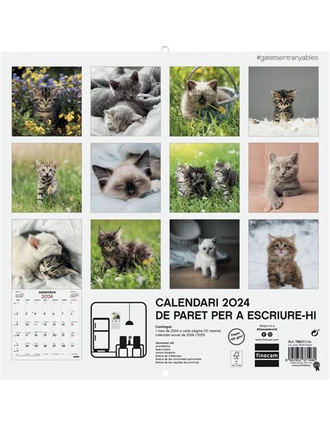 Calendario Pared Escribir X Gatitos Cat Finocam Liquid