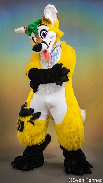 Pineapple Fox Wikifur The Furry Encyclopedia