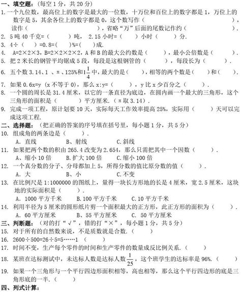 武汉某中学小升初分班数学考试试题word文档在线阅读与下载无忧文档