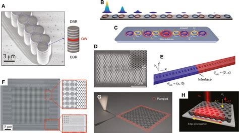 Active Topological Photonics