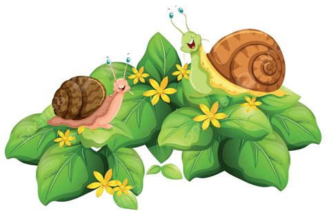 Snails Crawling On Leaves Image Exotic Object Vector Image Exotic