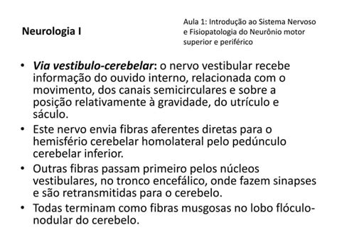 Sistema Nervoso Fisiopatologia Do Neurônio Motor Superior E