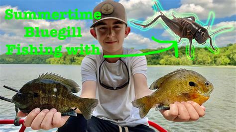 Monster Bluegill And Perch Fishing On Lake Eucha Oklahoma Youtube