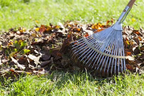 Safety Tips for Raking Leaves | Murray