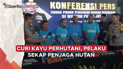 Curi Kayu Perhutani Pelaku Sekap Penjaga Hutan Youtube