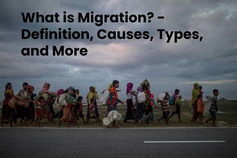 What Is Migration Definition Causes Types And More