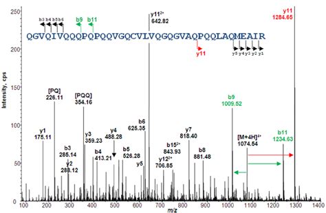 Mass Spectrometry Detection Of Prototypic Peptides For Quantification Download Scientific