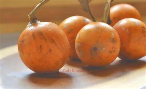 5 Amazing Health Benefits Of The African Star Apple Agbalumo Udara