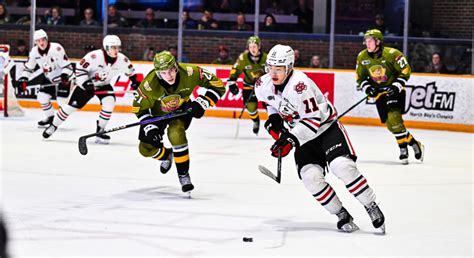 Icedogs Cant Bounce Back Against Battalion Niagara Icedogs