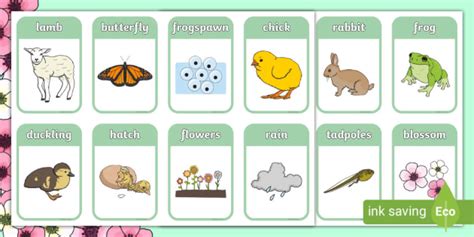 Spring Vocabulary Flashcards – Spring Pictures - Resource