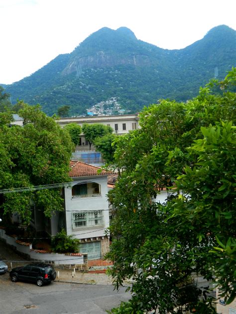 O PASSEADOR TIJUCANO Rua Pinheiro Da Cunha Rua Cotingo