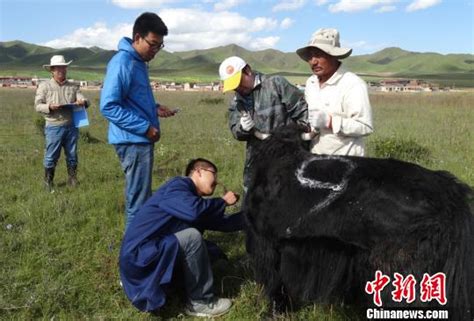 甘肃提出引进人才打好“乡情牌” 不设硬性条条框框大陆国内新闻新闻齐鲁网