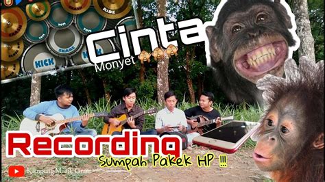 Cinta Monyet Goliath Cover Kmg Youtube