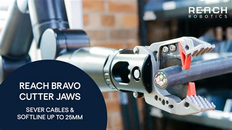 Reach Bravo Larger Platform Rov Manipulator Reach Robotics