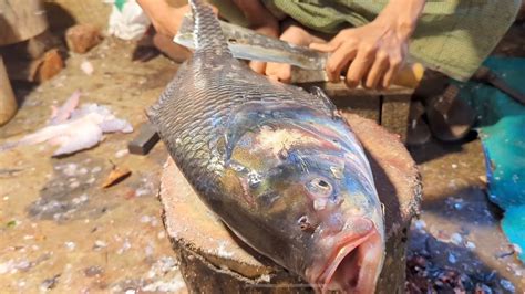 Amazing Giant Catla Carp Fish Cutting Skills In Bangladesh Local Fish