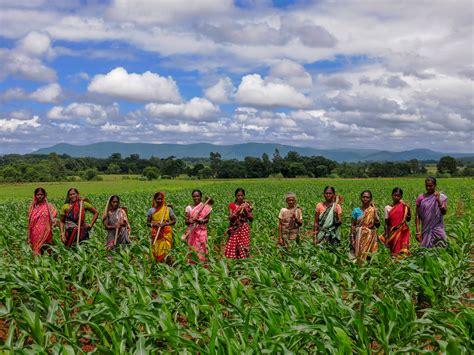 Royal Government Of Bhutan Cimmyt